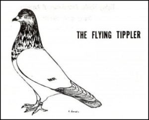 A-Standard-for-the-Flying-Tippler-2-04
